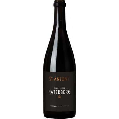Pinot Noir Niersteiner Paterberg GG 2021 - St.Antony