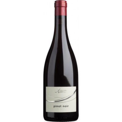 Pinot Noir DOC 2023 - Cantina Andrian