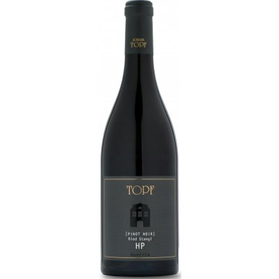Pinot Noir Ried Stangl HP 2019 - Johann Topf