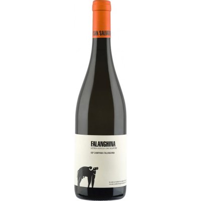 Falanghina 2025 - Azienda Agricola San Salvatore