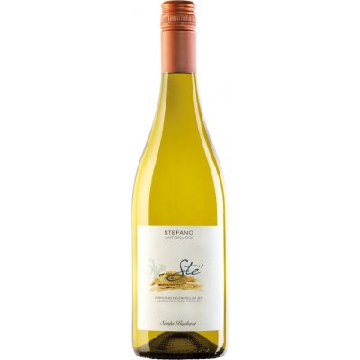 Sté Verdicchio di Jesi DOC 2025 - Santa Barbara