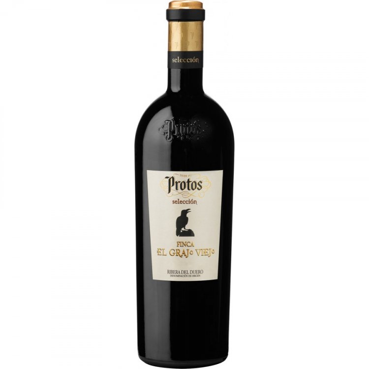 Finca el Grajo Viejo 2018 - Protos