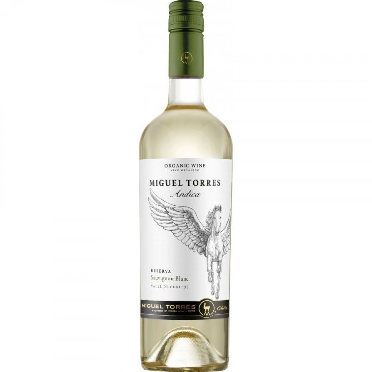 vinobucks Chile 2022 Reserva Blanc Miguel - - Andica Torres Sauvignon