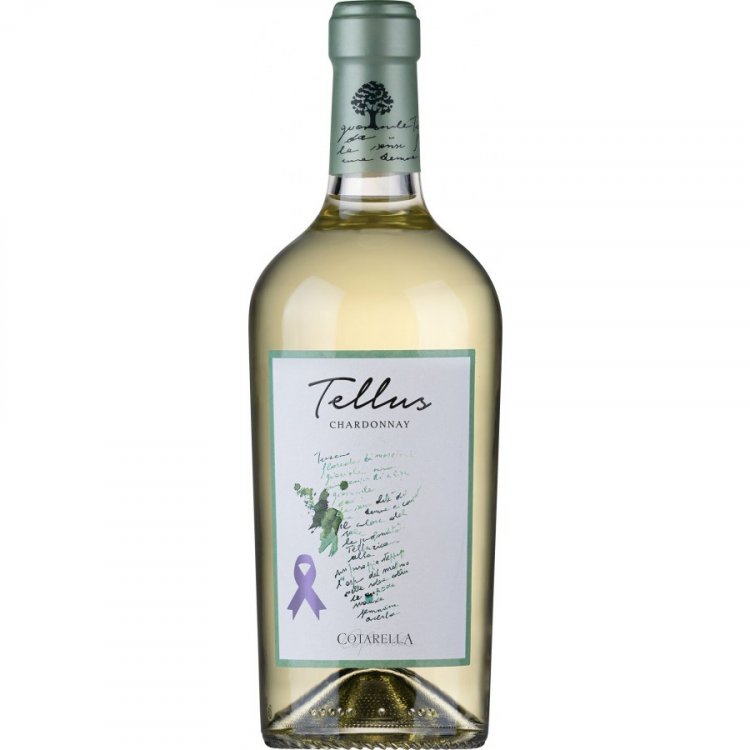 Tellus Chardonnay Bianco Lazio IGP 2022 - Falesco