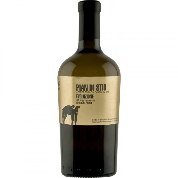 Pian di Stio Evoluzione Fiano 2019 - Azienda Agricola San Salvatore