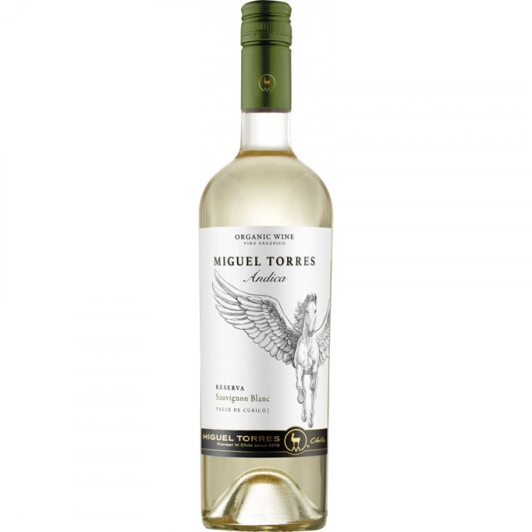 Andica Sauvignon Blanc Reserva 2024 - Miguel Torres Chile