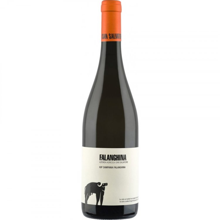 Falanghina 2024 - Azienda Agricola San Salvatore
