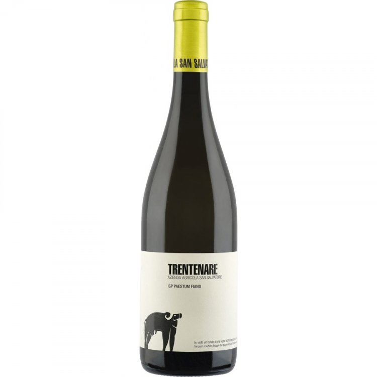 Trentenare Fiano 2024 - Azienda Agricola San Salvatore