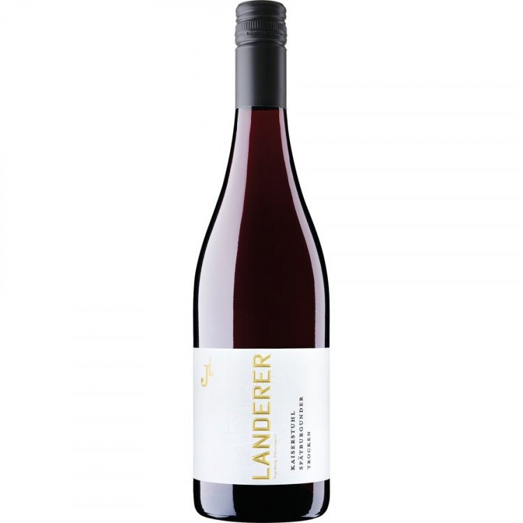 Spätburgunder 2024 - Landerer