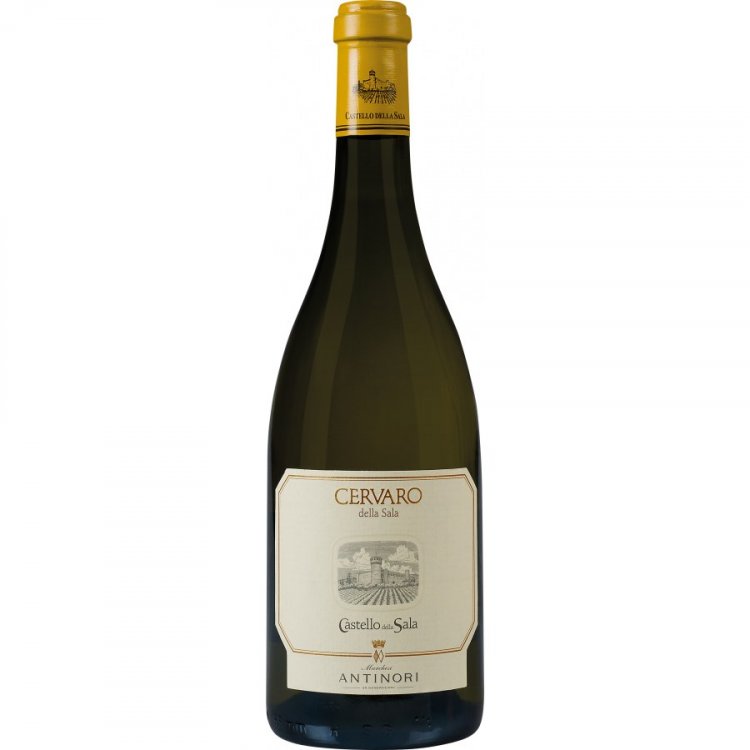 Cervaro della Sala Umbria IGT 2024 - Castello della Sala