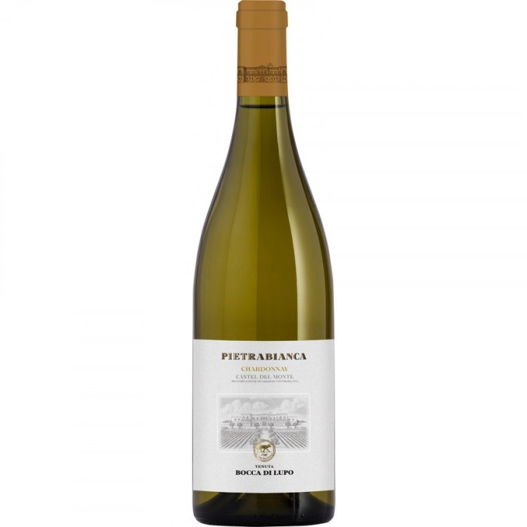 Pietrabianca Castel del Monte DOC 2024 - Bocca di Lupo