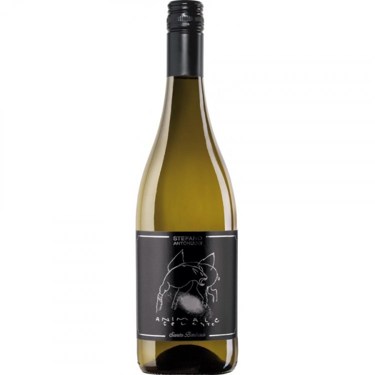 Animale Celeste Sauvignon IGT 2025 - Santa Barbara