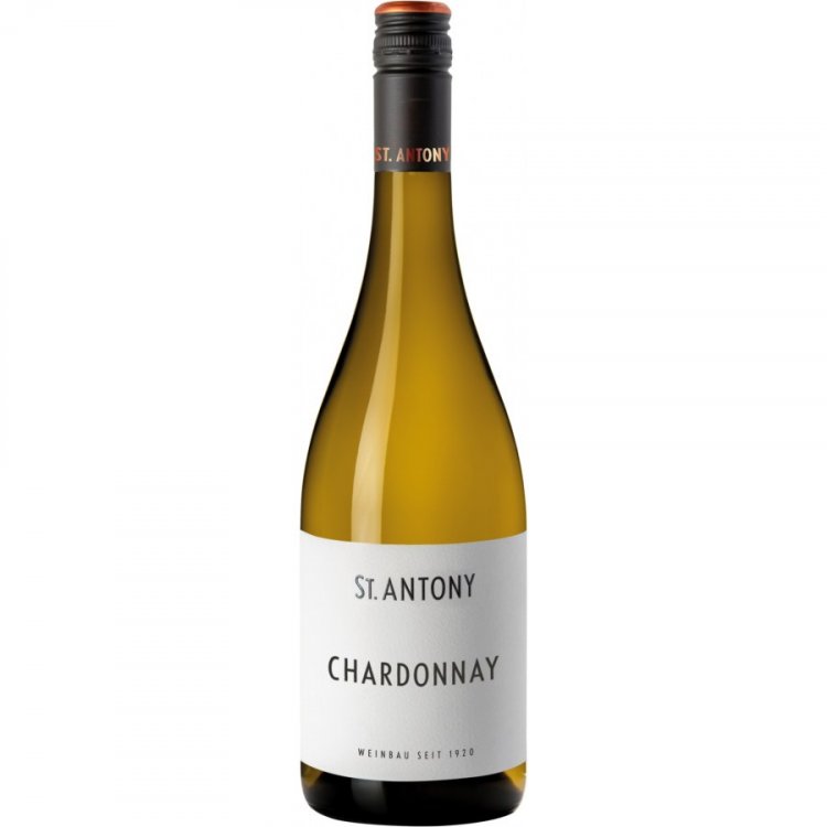 Chardonnay 2024 - St.Antony