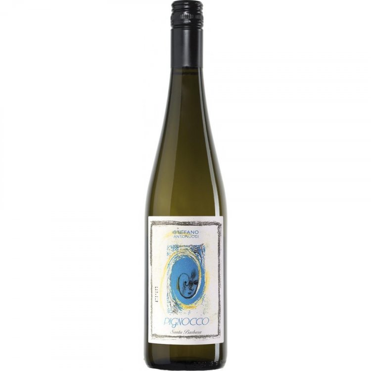 Pignocco Verdicchio di Jesi DOC 2025 - Santa Barbara