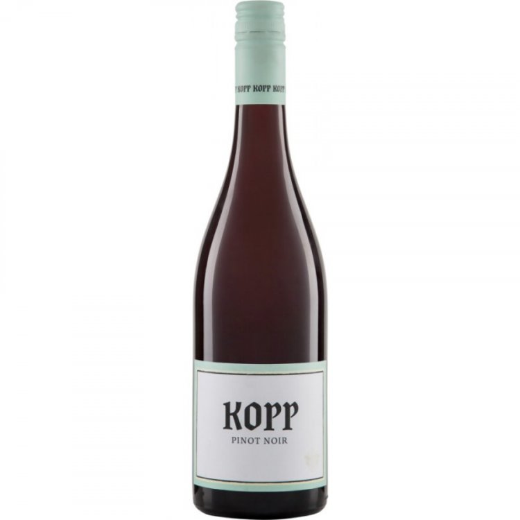 Pinot Noir Gutswein Kopp 2023