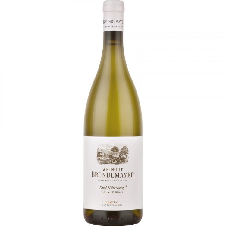Grüner Veltliner Käferberg Kamptal DAC 1ÖTW 2023 - Bründlmayer