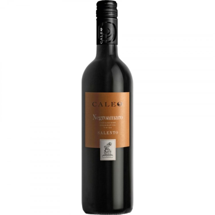 Negroamaro Caleo Salento IGT 2022 - Casa Vinicola Botter