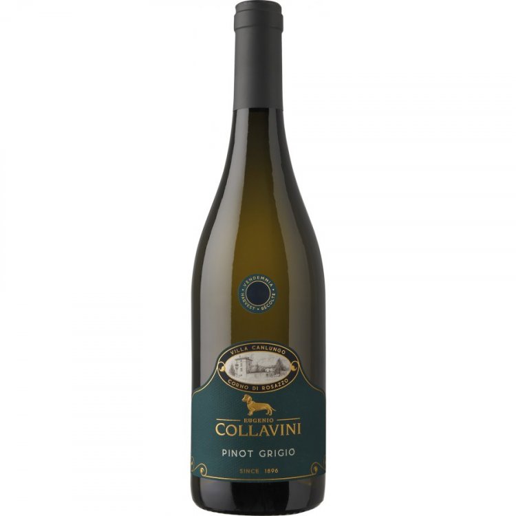 Villa Canlungo Pinot Grigio Collio DOC 2022 - Collavini