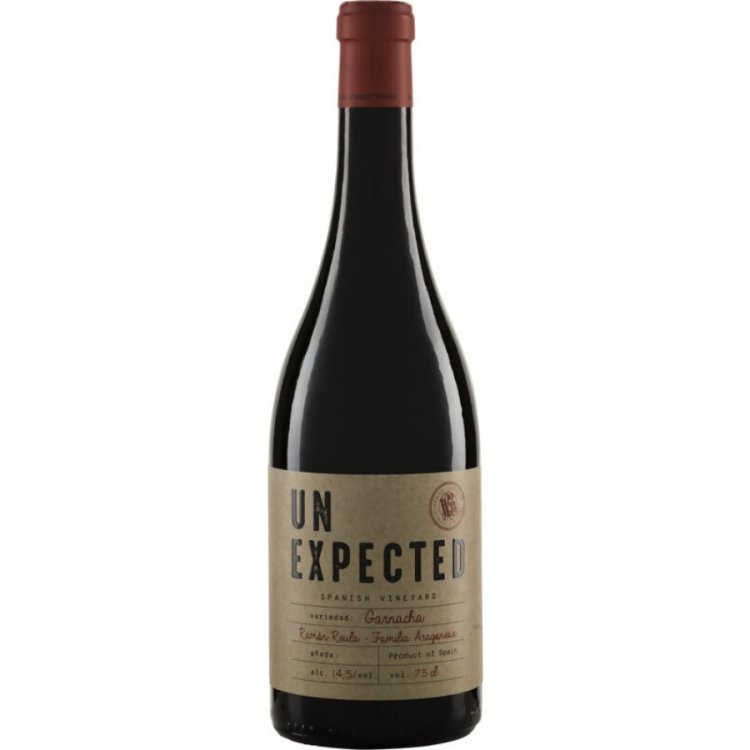 Unexpected Garnacha Tinto Pago Ayles 2022