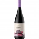 Aglianico Campania IGT 2022 - Villa Raiano