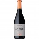 Cabriz Reserva Tinto 2022
