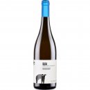 Elea Greco 2022 - Azienda Agricola San Salvatore