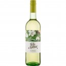 Flor Natural Blanco 2024 - Riegel