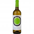 Conceito Contraste White 2019